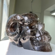 12.9LB A+Massive Hand Carved Smokey Quartz Horned Skull Statue Healing Crystal picture