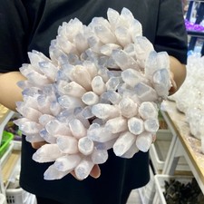 7.2LB New find blue phantom crystal quartz cluster mineral specimen healing picture