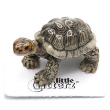 Little Critterz Galapagos Tortoise 