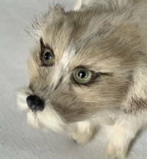 ANTIQUE FUR (over PAPIER-MACHE/WIRE FRAME) “LURCHER” DOG 1918-POST WWI ERA/RARE picture