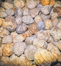 5 lbs Unopened Mixed Geodes - Whole Agate Nodules - Break Your Own - STEM Kit picture