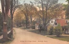 NORFOLK, CT ~ HOMES ALONG VILLAGE GREEN ROAD, GEO. T. JOHNSON, PUB ~ c 1910s-20s picture