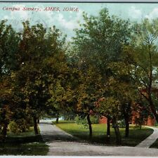 c1910s Ames, IA Iowa State College ISC Campus Scene Walkway Path University A202 picture