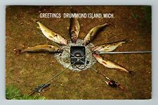 Drummond Island MI-Michigan, General Greetings, Fishes, Vintage Postcard picture
