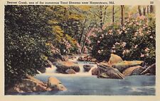 Hagerstown MD Maryland Beaver Creek Brown Trout Stream Fishing Vtg Postcard D4 picture