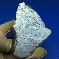 456gm Aletai iron meteorite slab  L0089 picture
