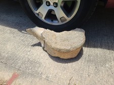 Massive Old Whale Vertebrae Specimen 2.4 Inch” Authentic Bone Private Collection picture