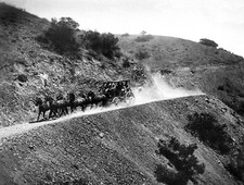 1905 Stagecoach, Catalina Island, CA Old Photo 8.5