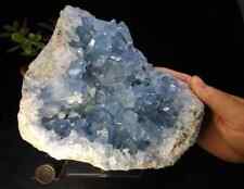 11 pounds LARGE GALLERY 8 INCH WORLD CLASS GEM BLUE CELESTITE CRYSTAL CLUSTER picture