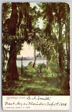 Greetings Fort Myers Florida Spanish Moss Waterfront FL WOB Vintage UNP Postcard picture
