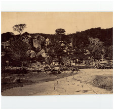 France, Fontainebleau, Étude d'après Nature vintage albumen print print print print  picture