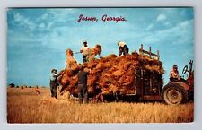 Jesup GA-Georgia, Haying Time, Antique, Vintage Postcard picture