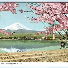 c1950s Japan Mt Fuji from Kawaguchi Lake Photo Postcard Cherry Blossoms Tree A31 picture