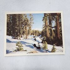 Vintage Christmas Greetings Card 5.5x4 Holiday Seasons Snow Covered Forest Trail picture