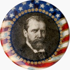 1916 Charles E. Hughes Flag Border Portrait Button picture