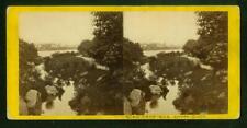 a889, E & H T Anthony Stereoview, #7202, Rustic Bridge Near the Upper Lake 1870s picture