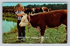 Sheboygan Falls WI-Wisconsin, General Greetings, Proud 4H Girl, Vintage Postcard picture