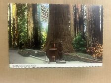Postcard Laytonville CA California World Famous Tree House Park Redwood Highway picture