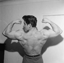 Famous Bodybuilder & Strongman Reg Park C1950s 6 Old Photo picture
