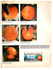 Snow Crop Orange Juice Concentrate 1965 Print Ad 14inx10in  Life Magazine picture