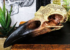Ebros Pentagram Omega Alchemy Raven Crow Skull Figurine with Carved Rune Symbols picture