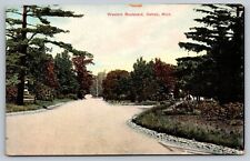Postcard - Western Boulevard - Detroit, Michigan - Early 1900s, Unposted (M5j) picture