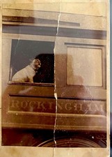 Antique Railroad Train Photo ROCKINGHAM Bulldog Dog in Window Vernacular RPPC picture