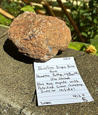 Blue/Green Dragon Bone Rough Rock Specimen Hampton Butte OR picture