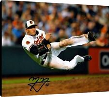 Manny Machado Acrylic Wall Art - Diving Throw picture