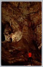 Postcard Rock of Ages Carlsbad Caverns National Park New Mexico   G 9 picture