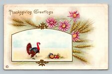 THANKSGIVING GREETINGS Turkey Embossed POSTCARD picture
