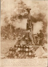 LD261 1967 AP Wire Photo FIRE SUPPORT FOR AMERICAN INFANTRYMEN IN VIETNAM JUNGLE picture