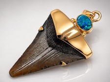 Fossil Shark Tooth Pendant – Megalodon Tooth with 24 K Gold Over Sterling Silver picture