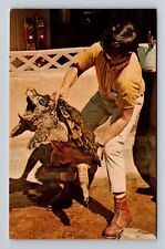 Buena Park CA- California, Alligator Snapping Turtle, Antique, Vintage Postcard picture