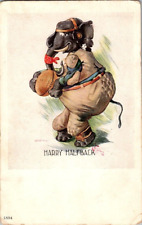 1911 HARRY HALFBACK ELEPHANT JUNGLE SPORTS POSTCARD RARE A6 picture