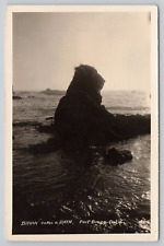 Postcard Bruin Takes a Bath, Fort Bragg, California, Vintage RPPC PM 1952 picture