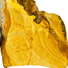 Biggs Deschutes Picture Porcelain Jasper Slab Slice Stone Cabbing Rough Oregon picture