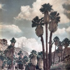 Antique Hand Tinted Color Photo Desert Palm Canyon *HEAD CARVING* Rushmore? picture