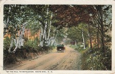 1920 Bethlehem NH White Mountains Birch Road Horse Carriage Postcard picture