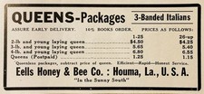 1948 AD.(XH87)~EELLS HONEY & BEE CO. HOUMA, LA. QUEENS AND 3-BANDED ITALIANS picture