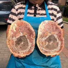 2pcs 7.12LB Natural Petrified Wood Crystal Fossil Slice Shape Specimen Healing picture