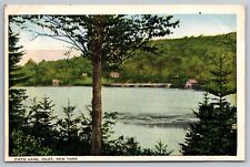 Fifth Lake, Inlet NY Vintage Postcard picture