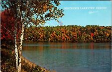MN-Minnesota, Birchem's Lakeview Resort, Outside, Vintage Postcard picture