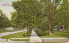 Forest Avenue, Plymouth, Wisconsin WI-1910s unposted postcard-street view picture