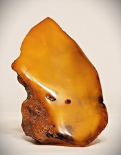LARGE Natural BALTIC AMBER Butterscotch Specimen for Artists Jewelers Collectors picture
