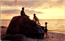  Vintage 1952 Children Playing on Beach Long Island Sunset New York NY Postcard picture