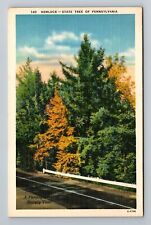 PA-Pennsylvania, Hemlock, State Tree, Scenic, Road, Vintage Postcard picture