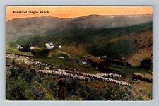 OR-Oregon, Scenic Sunrise at an Oregon Ranch, Mountains, Sheep, Vintage Postcard picture