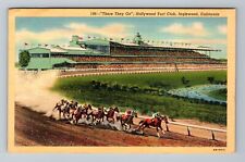 Inglewood CA-California, Hollywood Turf Club, Horse Race, Vintage Postcard picture
